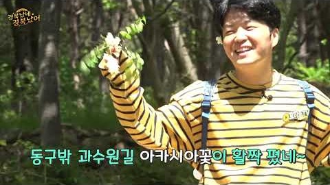 칠곡으로 꿀 빨러 간 대산이 실제 콘텐츠 이미지