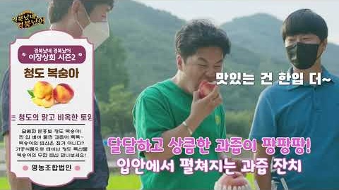 니가 가라 복숭아밭 실제 콘텐츠 이미지